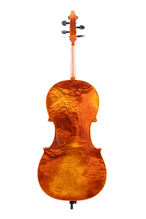 Amazing Cello 4/4 - One Piece Back - Oil Varnished 2021