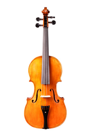 Nelu Dan's Master Violin 4/4 Made in Europe #154