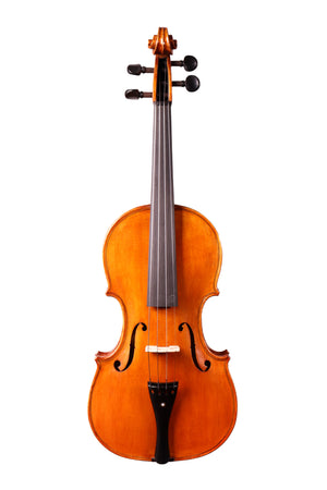 Nelu Dan's Master Violin 4/4 Made in Europe #155