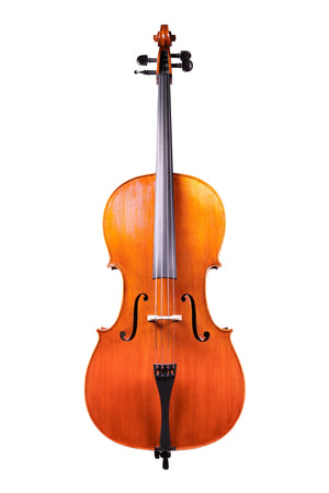 Professional Level Cello 4/4 - Hand-Made in EU #04
