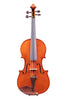 Alessandro Gambarin Violin 4/4 - Italy-Mantova 2022