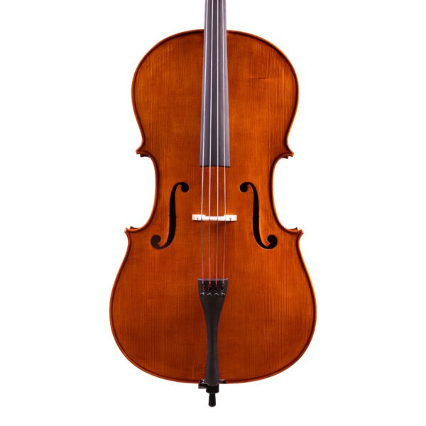 Professional Level Goffriller Cello 4/4 by Vivarius Workshop #37