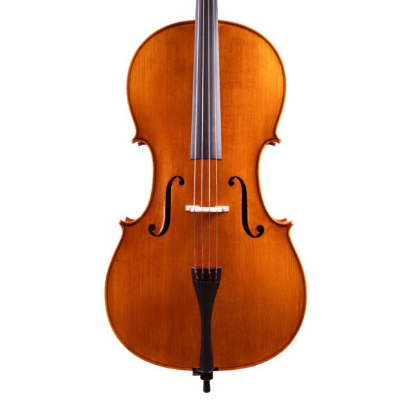 Professional Level Stradivari Cello 4/4 by Vivarius Workshop #48