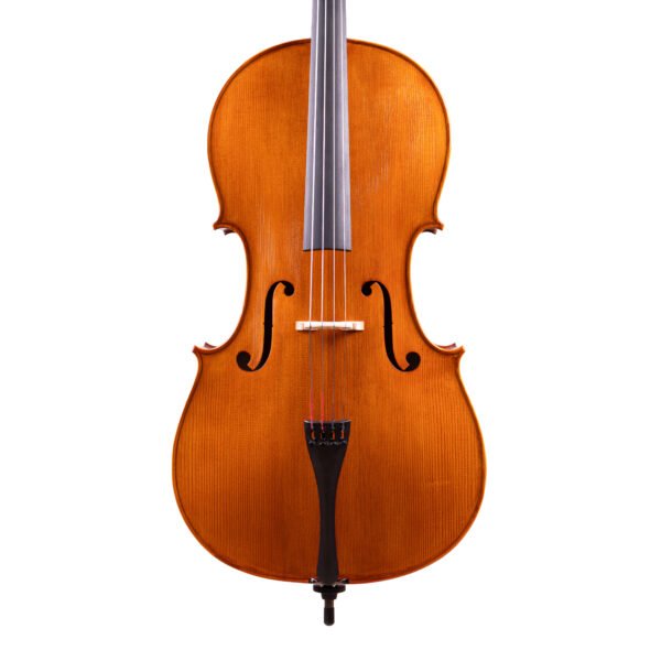 Professional Level Stradivari Cello 4/4 by Vivarius Workshop #52
