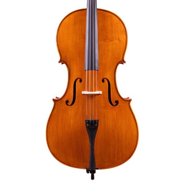 Professional Level Stradivari Cello 4/4 by Vivarius Workshop #65