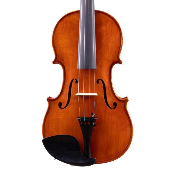 Professional Level Highly Flamed Maple Violin 4/4 by Vivarius Workshop #75