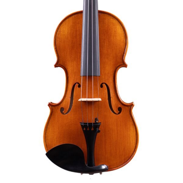 Professional Level One Piece Back Violin 4/4 by Vivarius Workshop #76